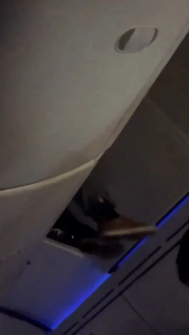 At least 30 injured after Boeing flight hits turbulence, sending passengers flying with one man stuck in the overhead bin (video)