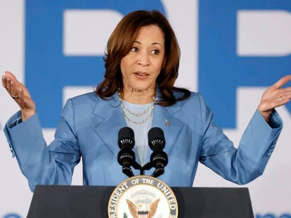New poll reveals what Democrats really think of Kamala Harris being US president