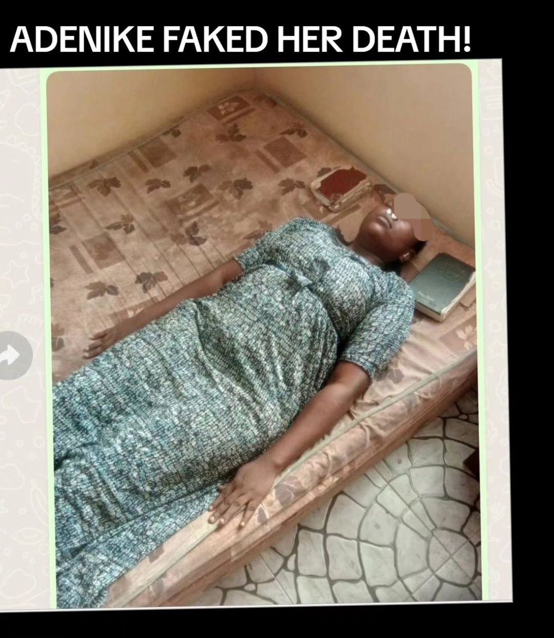 Lady who admitted having intercourse with dogs faked death and has now been arrested ? Actress Abiola Adebayo