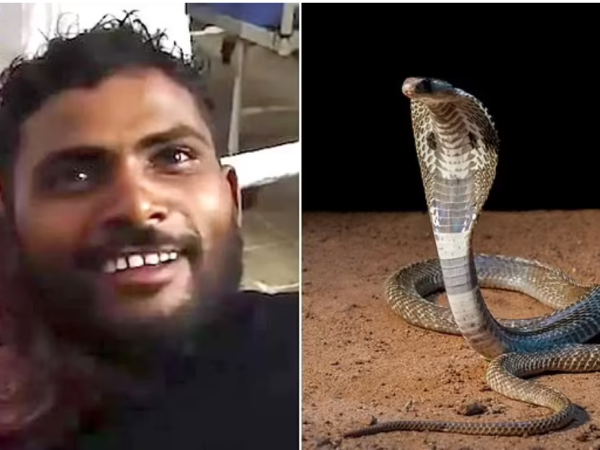 Man bites snake to d3ath after he was bitten by the reptile while he slept