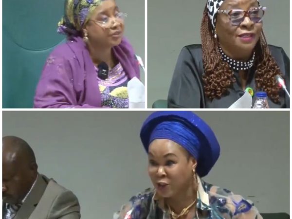 Minister of Women Affairs and House of Reps members clash over alleged misappropriation of funds (video)