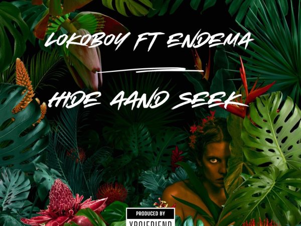 LokoBoy Ft Endema – Hide and Seek
