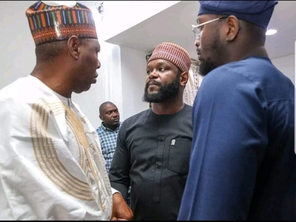 Seyi Tinubu Donates N500m To Borno Flood Victims