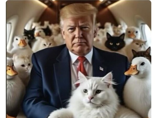 #Debate2024: Donald Trump accuses illegal immigrants of eating dogs and cats, then shares memes suggesting animals will like his presidency (video)