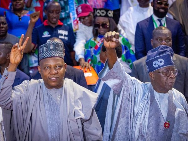 No vacuum in leadership with Tinubu and Shettima abroad – Presidency