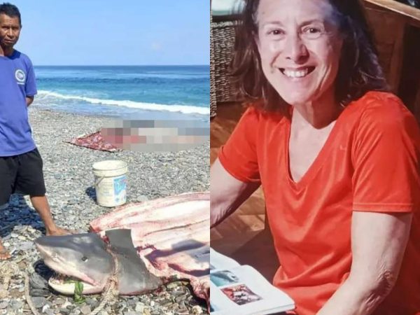 A woman’s body cut out of shark that ate her while she was on dream trip