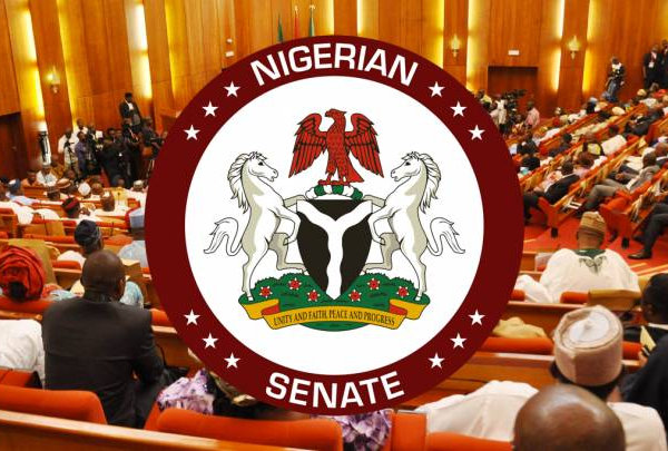 Bill to establish Nigerian Coast Guard scales second reading in Senate