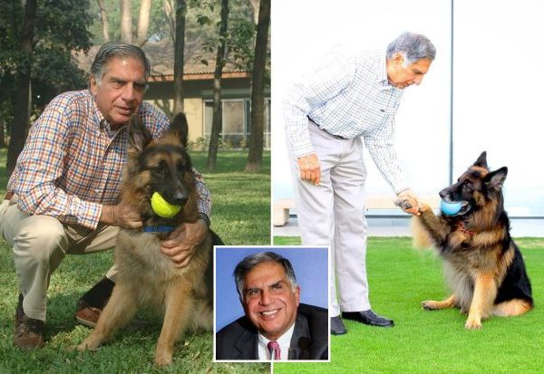 Indian Billionaire leaves large chunk of his £91million fortune to his DOG in his will