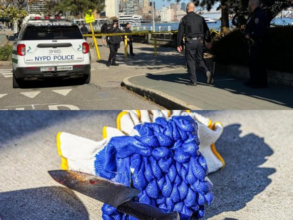 Knife-wielding homeless man goes on random stabbing spree, leaving 2 men d£@d and one woman critical in New York