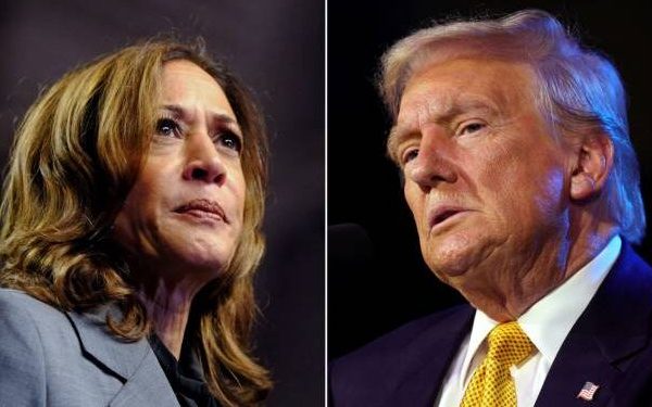 How a Trump or Harris win can affect Naira