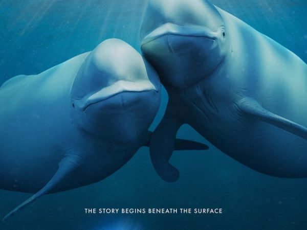 Our Oceans Season 1 (Complete)