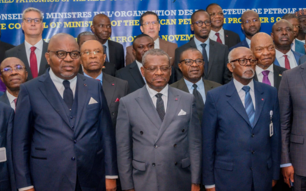 Africa Energy Bank to take off by January 2025 — FG 