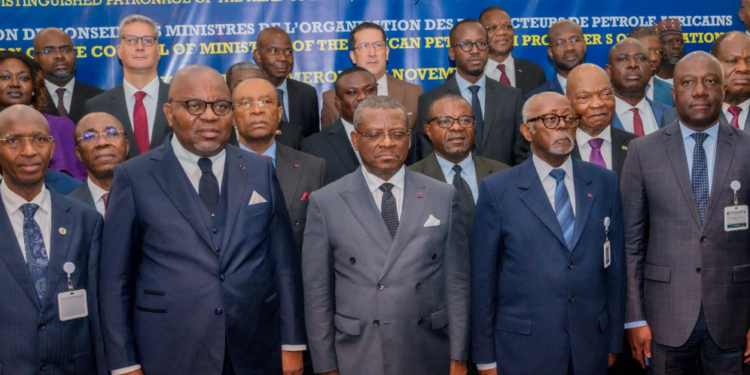 Africa Energy Bank to take off by January 2025 — FG