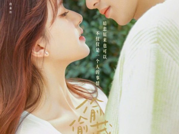 DOWNLOAD: Hidden Love Season 1 (Complete) (Chinese Drama)