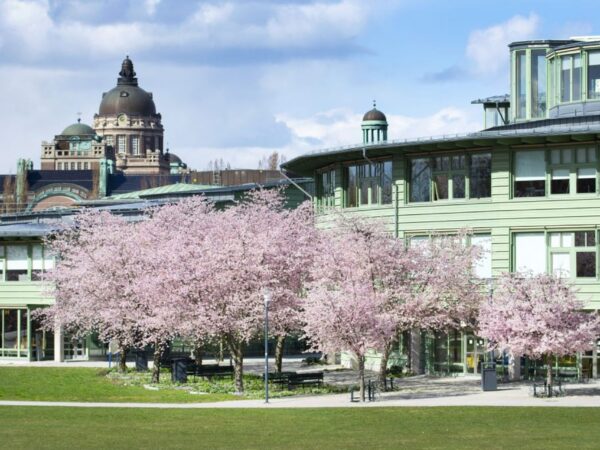 Fully Funded 2026 Stockholm University Scholarship Scheme in Sweden